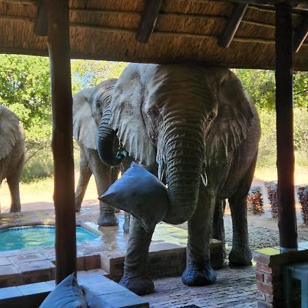 Twiga Lodge Mabalingwe Bela-Bela Bagian luar foto