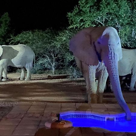 Twiga Lodge Mabalingwe Bela-Bela Bagian luar foto