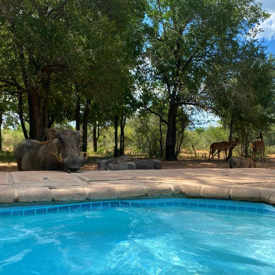 Twiga Lodge Mabalingwe Bela-Bela Bagian luar foto