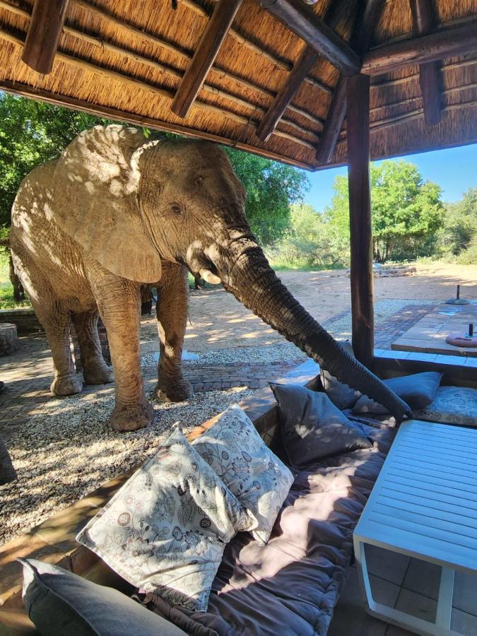 Twiga Lodge Mabalingwe Bela-Bela Bagian luar foto