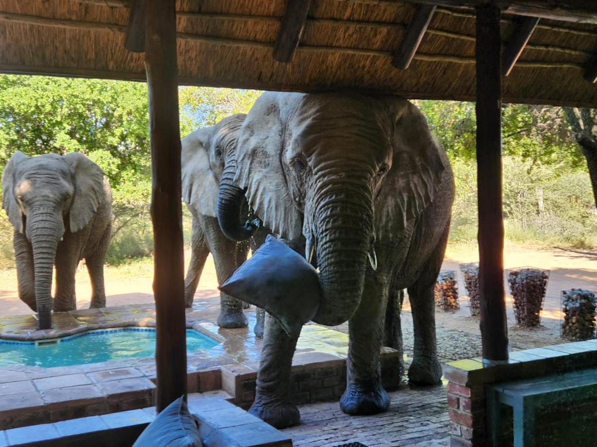 Twiga Lodge Mabalingwe Bela-Bela Bagian luar foto
