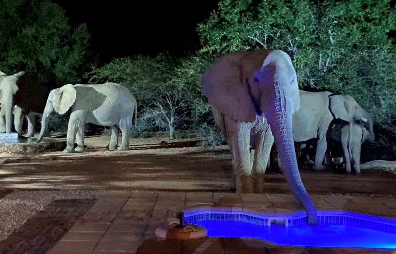 Twiga Lodge Mabalingwe Bela-Bela Bagian luar foto